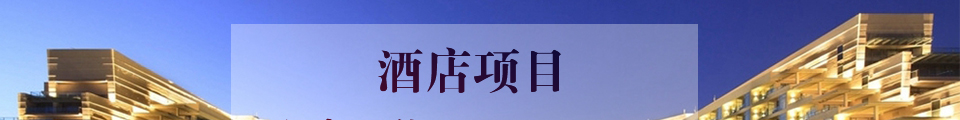 酒店项目的设计优化与成本控制
